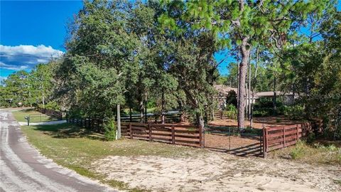 Tiny photo for 4295 N Bridger Drive, Beverly Hills, FL 34465 (MLS # TB8465431)