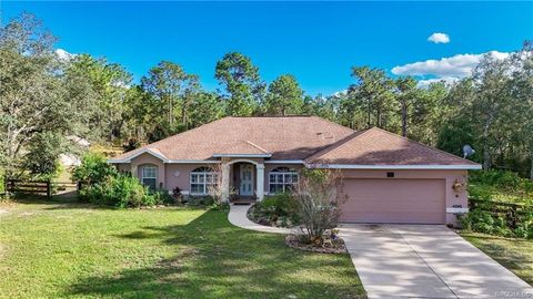 Tiny photo for 4295 N Bridger Drive, Beverly Hills, FL 34465 (MLS # TB8465431)