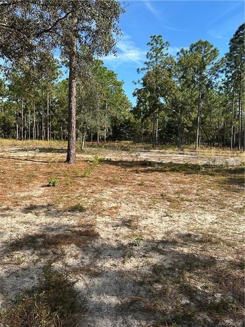 Tiny photo for 4295 N Bridger Drive, Beverly Hills, FL 34465 (MLS # TB8465431)