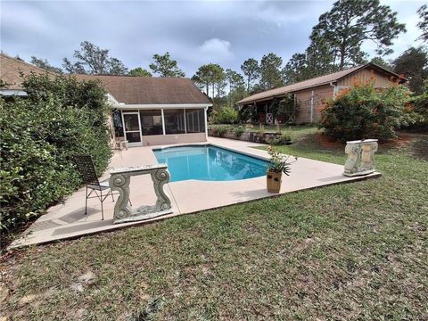 Tiny photo for 4295 N Bridger Drive, Beverly Hills, FL 34465 (MLS # TB8465431)