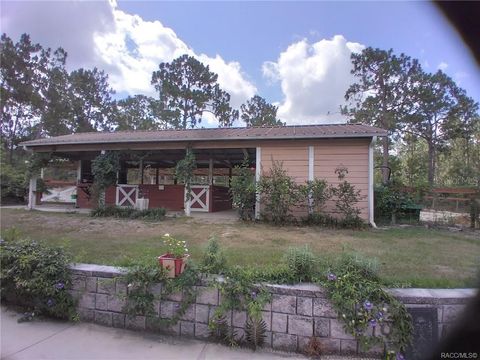 Tiny photo for 4295 N Bridger Drive, Beverly Hills, FL 34465 (MLS # TB8465431)