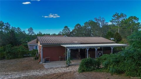Tiny photo for 4295 N Bridger Drive, Beverly Hills, FL 34465 (MLS # TB8465431)