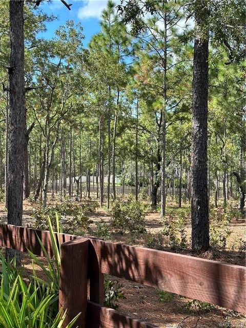 Tiny photo for 4295 N Bridger Drive, Beverly Hills, FL 34465 (MLS # TB8465431)