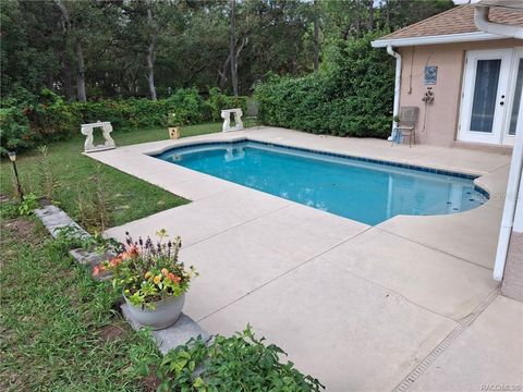 Tiny photo for 4295 N Bridger Drive, Beverly Hills, FL 34465 (MLS # TB8465431)