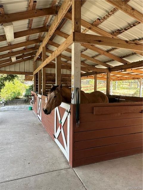 Tiny photo for 4295 N Bridger Drive, Beverly Hills, FL 34465 (MLS # TB8465431)