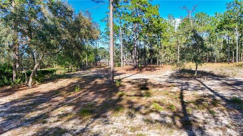 Tiny photo for 4295 N Bridger Drive, Beverly Hills, FL 34465 (MLS # TB8465431)