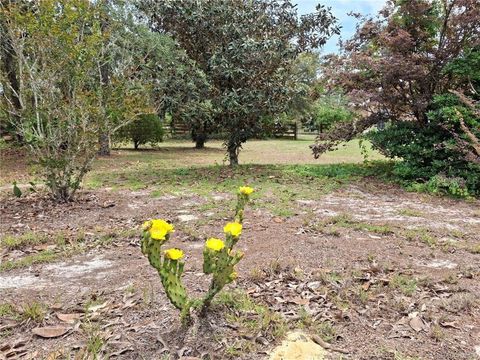 Tiny photo for 4295 N Bridger Drive, Beverly Hills, FL 34465 (MLS # TB8465431)