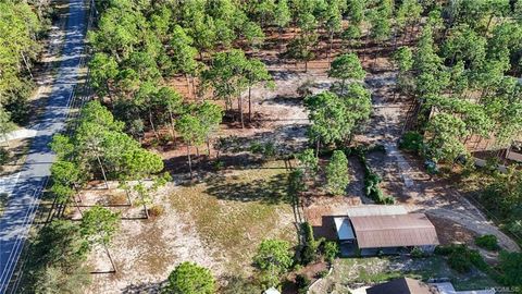 Tiny photo for 4295 N Bridger Drive, Beverly Hills, FL 34465 (MLS # TB8465431)