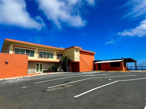 Carr 901 km 8.8 CAMINO NUEVO YABUCOA  00767