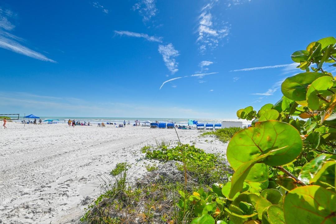 BEACH PALMS CONDO - Residential