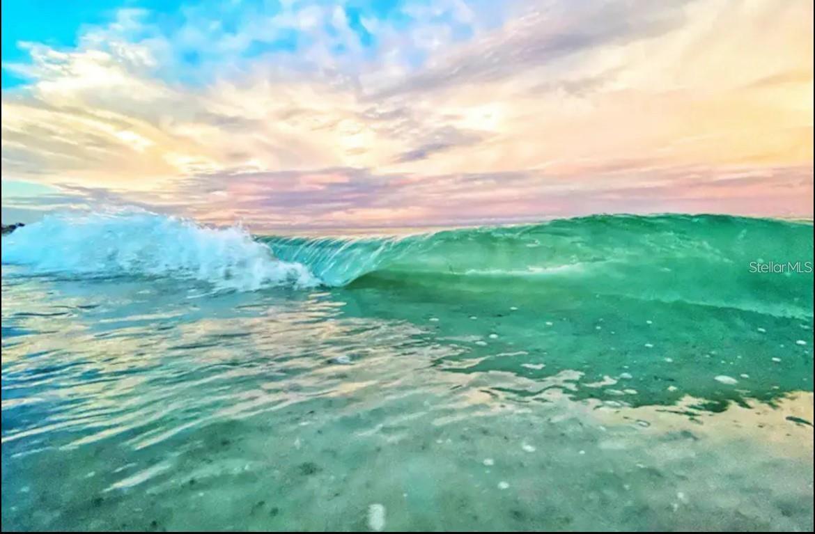 BEACH PALMS CONDO - Residential