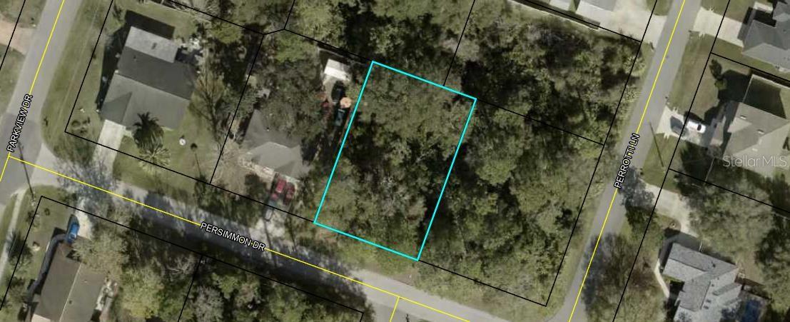 Beautiful lot located in desirable Belle Terre Subdivision. Choose your builder with no time limit. Conveniently located near schools, shopping, restaurants, medical facilities. You are a short distance to trails in the community if you enjoy walking, jogging or biking. Pickleball courts and golf courses are also close by. Very easy commute north to Historical St. Augustine and Jacksonville, or south to the "World’s Most Famous Beach," Daytona Beach. If you prefer, you can enjoy the day at beautiful Flagler Beach only a few minutes away with a beautiful pier that you can go fishing or just relax and enjoy the day! Palm Coast is a beautiful city with plenty of amenities to enjoy. Build your dream home here today!