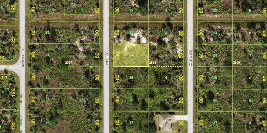 Build your dream home on this well-located residential vacant lot in the growing Southwest Florida area. This property offers a great opportunity for homeowners, builders, or investors looking to secure land in a developing community with strong long-term potential.

Whether you’re planning to build now or hold for future investment, this property offers flexibility with no time frame to build (buyer to verify). Public utilities may be available nearby (buyer to verify), and the lot size provides ample space for a variety of home designs.

Southwest Florida continues to see steady growth, making this an excellent opportunity to invest in land while prices remain attractive.

Don’t miss your chance to own a piece of paradise—SECURE YOUR LOT TODAY!