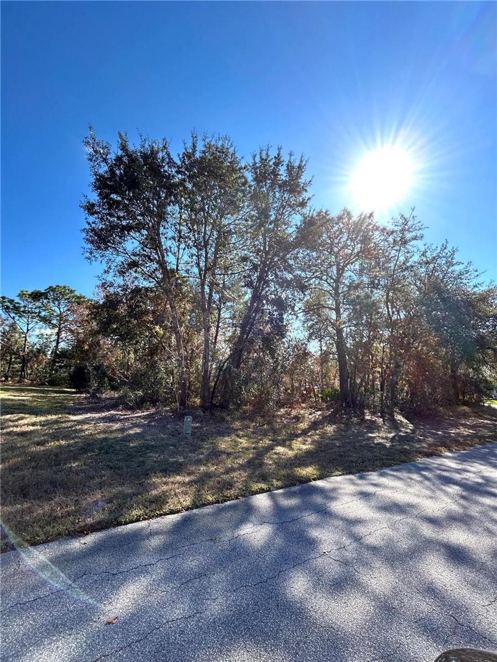 Photo of 2 Dracaena Court, Homosassa, FL 34446 (MLS # GC536306)