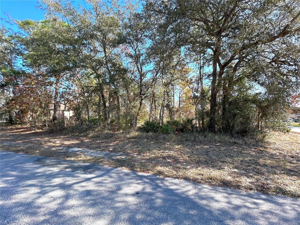 Photo of 2 Dracaena Court, Homosassa, FL 34446 (MLS # GC536306)