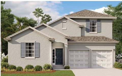 5035 FIREBUSH DRIVE APOPKA FL 32712