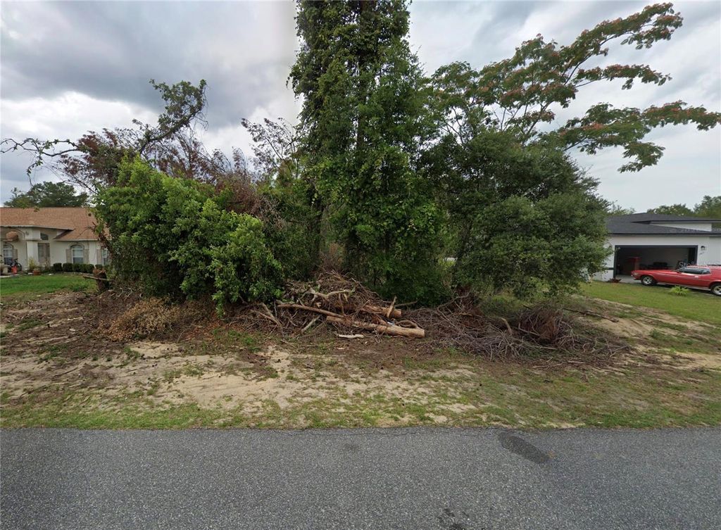 Photo of 13823 SW 43rd Circle, Ocala, FL 34473 (MLS # O6377683)