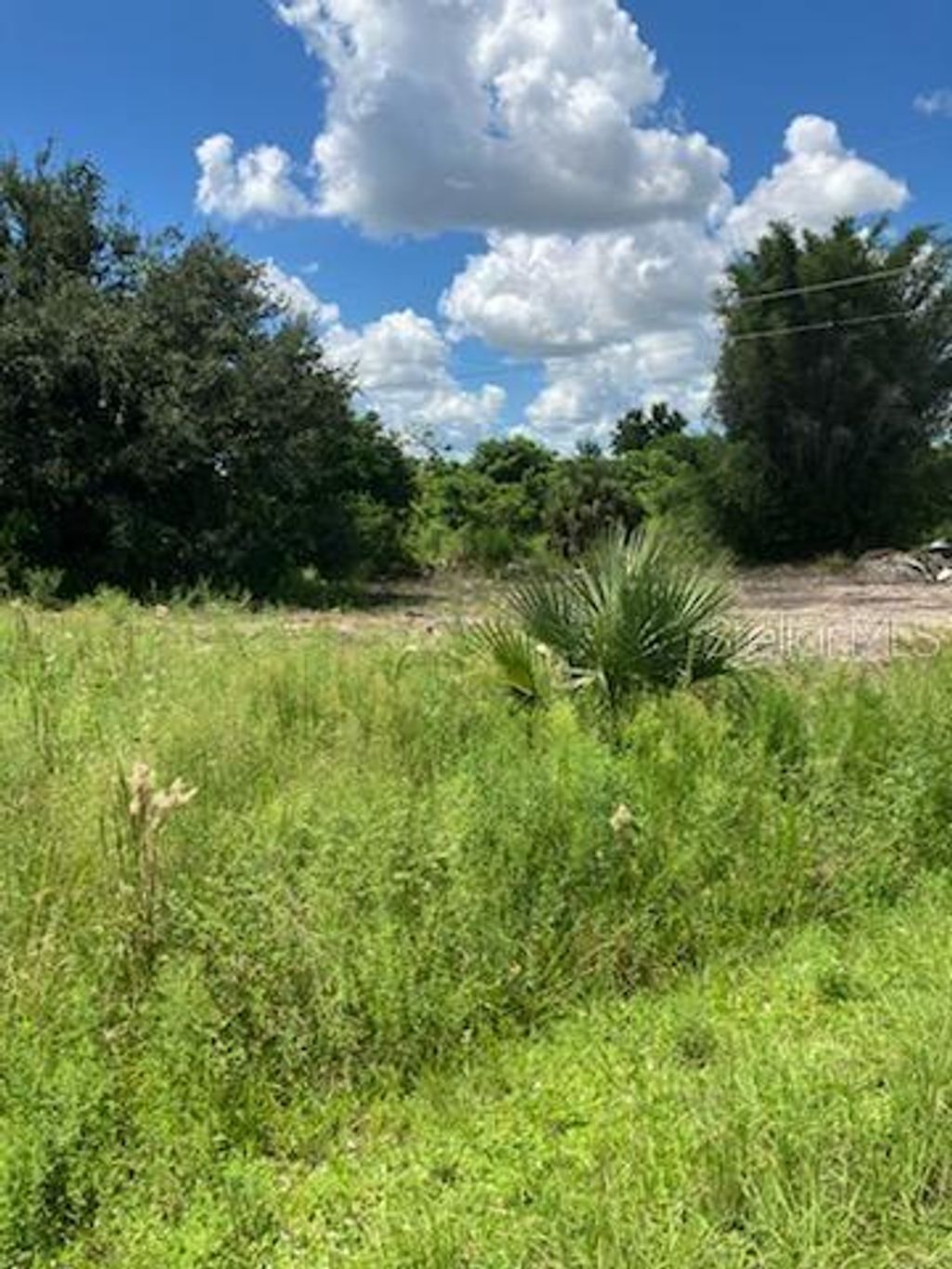 Photo of 2011 Calle Bonit0, Punta Gorda, FL 33982 (MLS # C7516046)