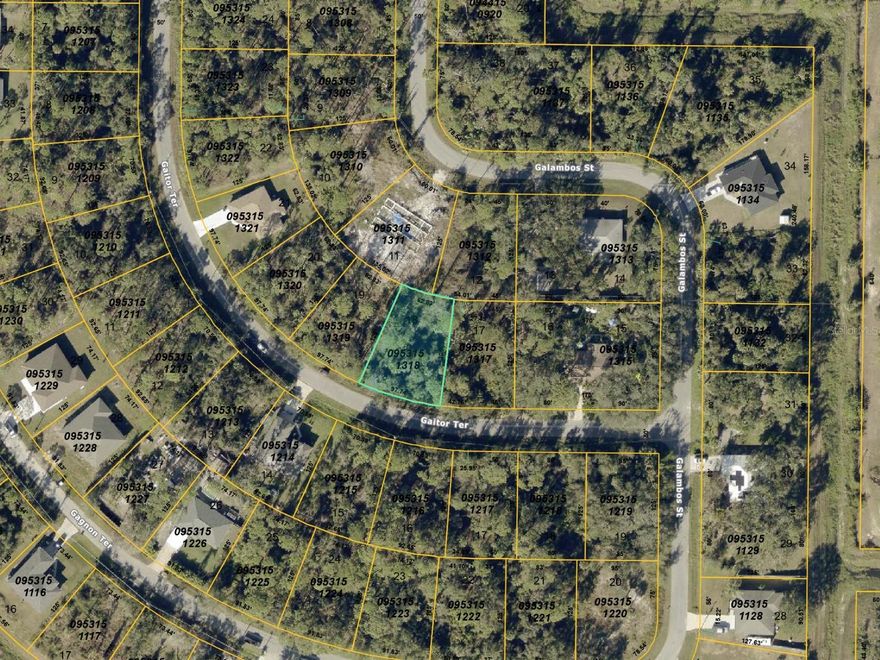 Build your dream home on this prime vacant lot on Gaitor Terrace in North Port, FL. Located in a growing neighborhood with new construction and expanding development, this homesite offers an exceptional opportunity for homeowners and investors alike.

Enjoy the serene surroundings, with peaceful greenbelt views providing privacy and a natural backdrop for your future residence. With convenient access to local amenities, schools, and major roadways, this location combines tranquility with accessibility.

Whether you’re looking to create a custom home or secure a valuable investment, this Gaitor Terrace lot offers the perfect foundation for your next project. Don’t miss the chance to be part of this flourishing North Port community.