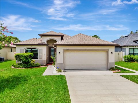 19974 BLUEBIRD MEADOW DRIVE LUTZ FL 33558