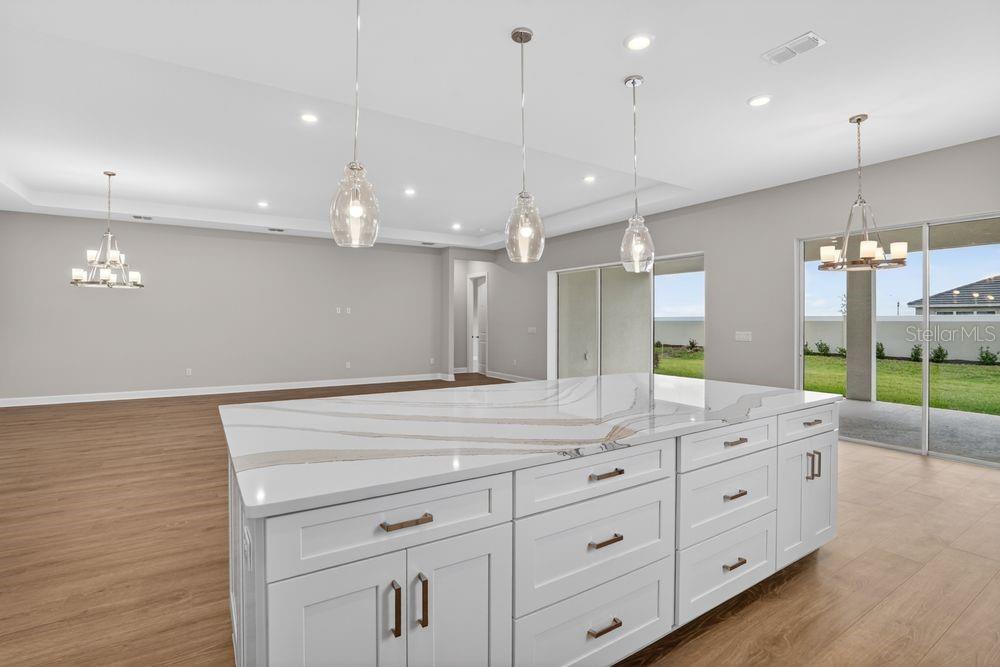 13831 BUCHANAN DRIVE