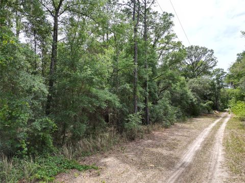 Tiny photo for SW 31st Pl, Ocala, FL 34481 (MLS # OM724603)