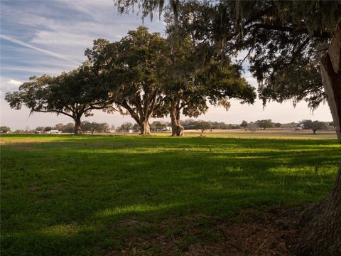 Tiny photo for 12894 NW Gainesville Road, Reddick, FL 32686 (MLS # OM696751)