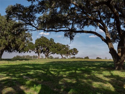 Tiny photo for 12894 NW Gainesville Road, Reddick, FL 32686 (MLS # OM696751)