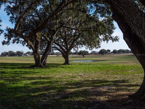 Tiny photo for 12894 NW Gainesville Road, Reddick, FL 32686 (MLS # OM696751)