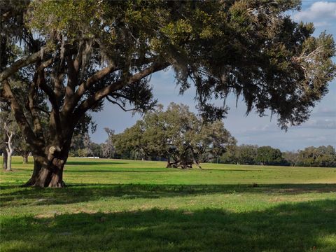 Tiny photo for 12894 NW Gainesville Road, Reddick, FL 32686 (MLS # OM696751)