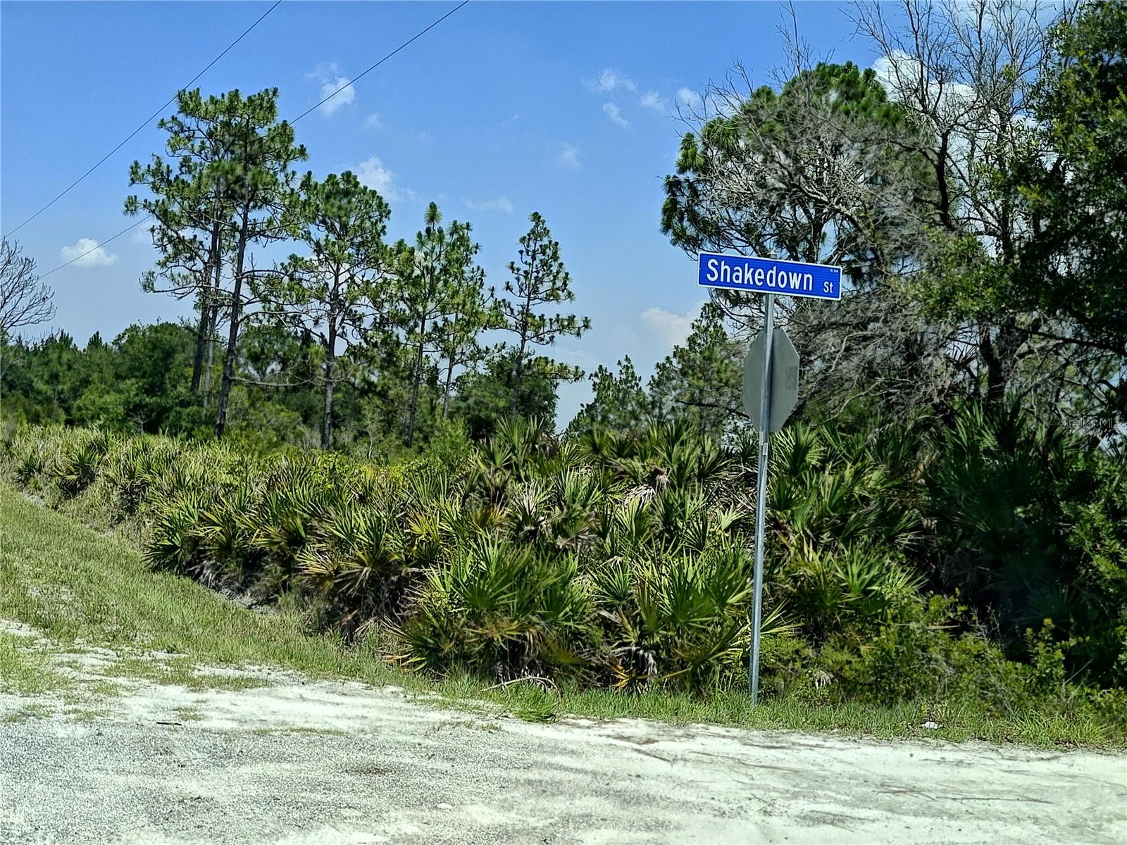 SHAKEDOWN STREET