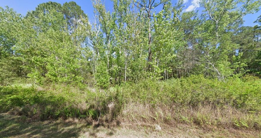 Opportunity awaits! This .23-acre parcel in Georgetown offers the perfect blend of privacy and convenience. The property provides plenty of space to design and build your ideal retreat. Whether you're looking to invest, build a custom home, or create a seasonal escape, this property is ready to make your vision a reality.