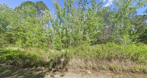 210 REDWOOD BOULEVARD GEORGETOWN FL 32139