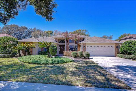 Photo of 3813 Turkey Oak Drive, Valrico, FL 33596 (MLS # TB8480056)