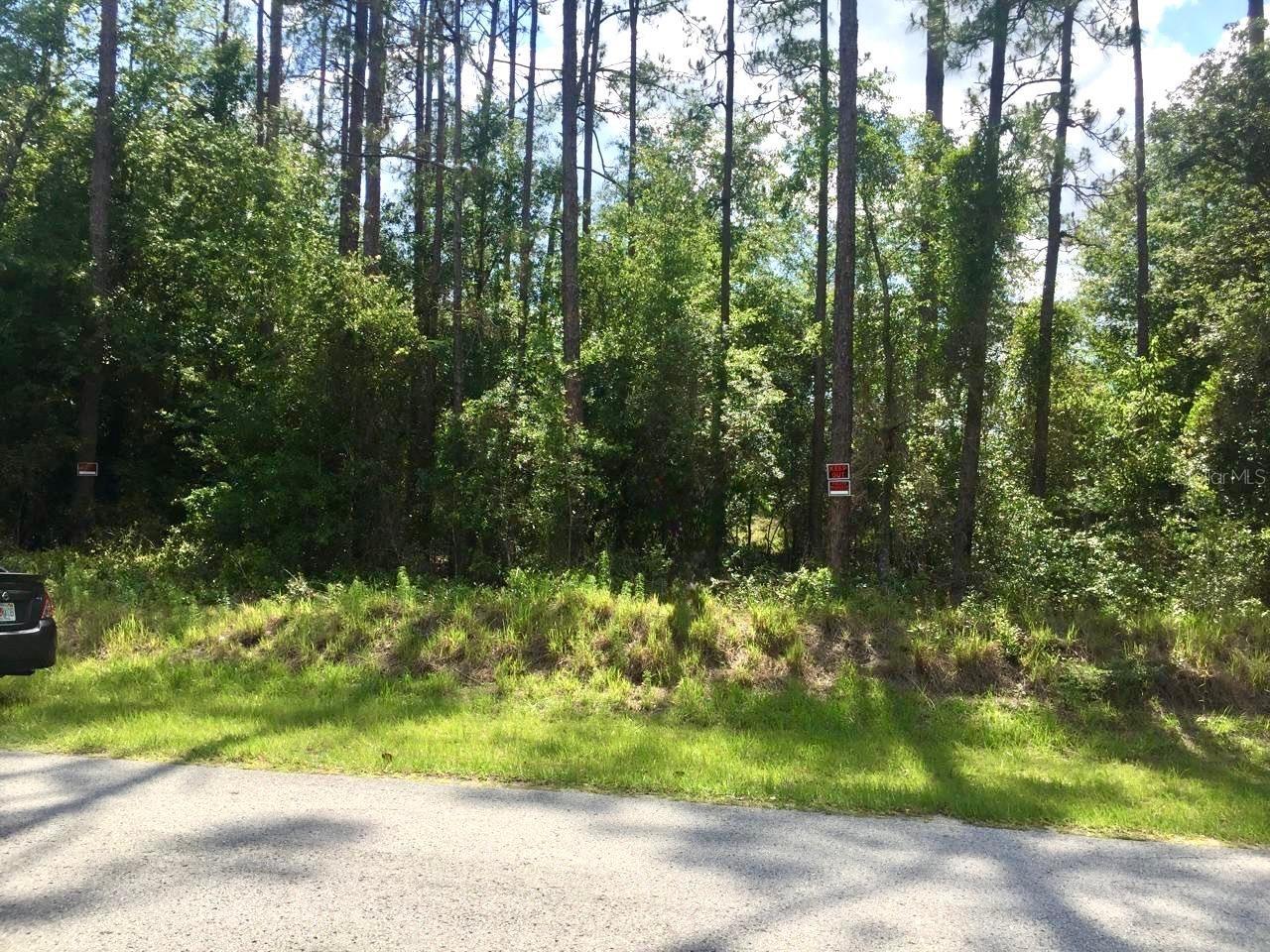 Spacious 1-acre property already subdivided into two half-acre parcels-flexible to keep as one large lot or use separately. Partially cleared and ready for your new build. Located in a nice area with convenient access to Hwy 41. No deed restrictions, offering endless possibilities. An excellent opportunity for a family purchase or investment.