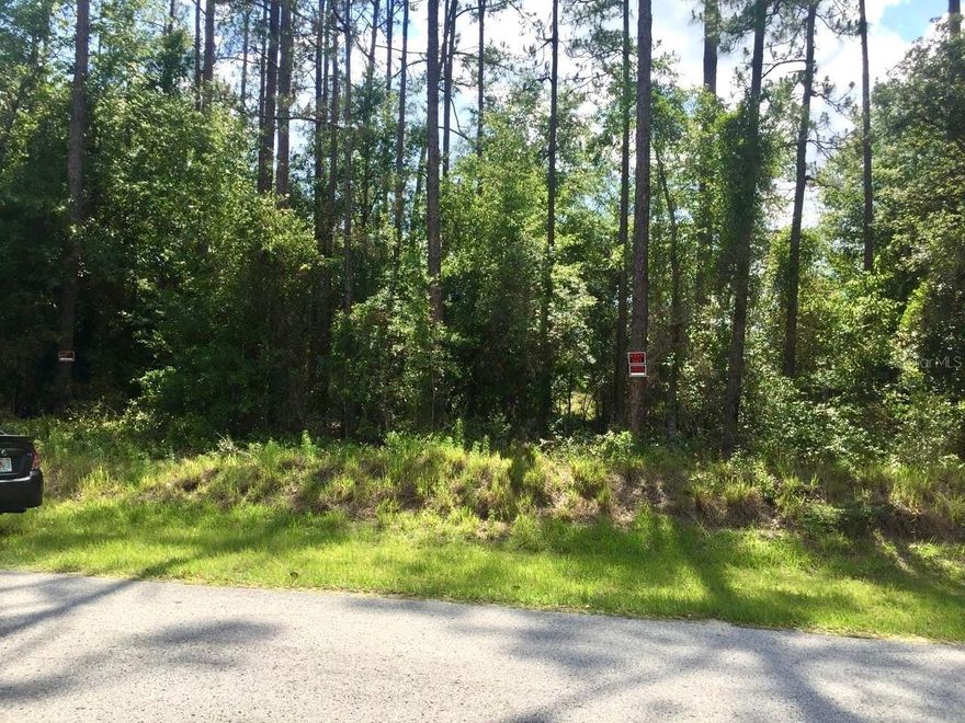 Spacious 1-acre property already subdivided into two half-acre parcels-flexible to keep as one large lot or use separately. Partially cleared and ready for your new build. Located in a nice area with convenient access to Hwy 41. No deed restrictions, offering endless possibilities. An excellent opportunity for a family purchase or investment.