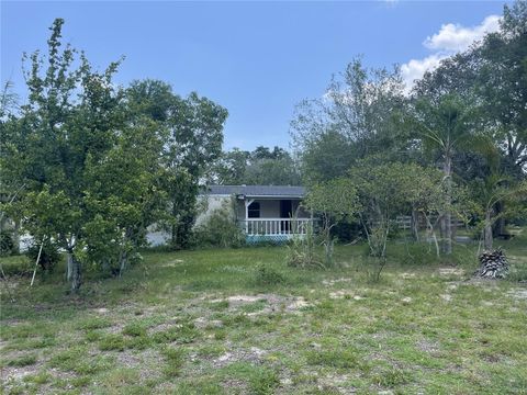 A home in LAKE WALES