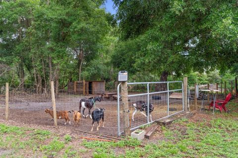 Tiny photo for 2016 Lewis Road, Leesburg, FL 34748 (MLS # O6318769)