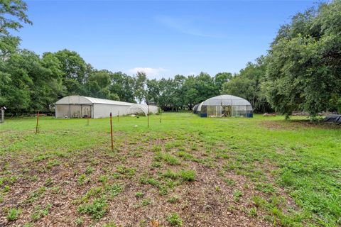 Tiny photo for 2016 Lewis Road, Leesburg, FL 34748 (MLS # O6318769)