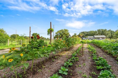 Tiny photo for 2016 Lewis Road, Leesburg, FL 34748 (MLS # O6318769)