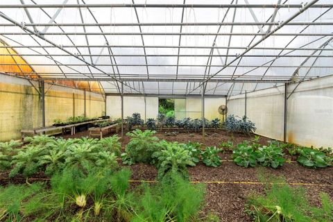 Tiny photo for 2016 Lewis Road, Leesburg, FL 34748 (MLS # O6318769)