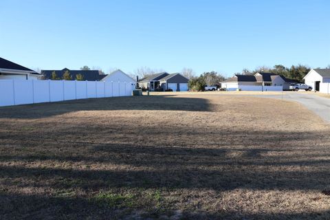 Photo of 2019 SE 29th Street, Ocala, FL 34471 (MLS # OM718353)