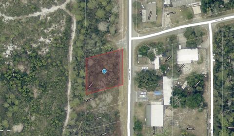 Tiny photo for 15 Georgia Street, Paisley, FL 32767 (MLS # A4688192)