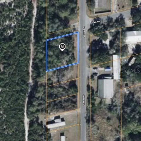 Photo of 15 Georgia Street, Paisley, FL 32767 (MLS # A4688192)