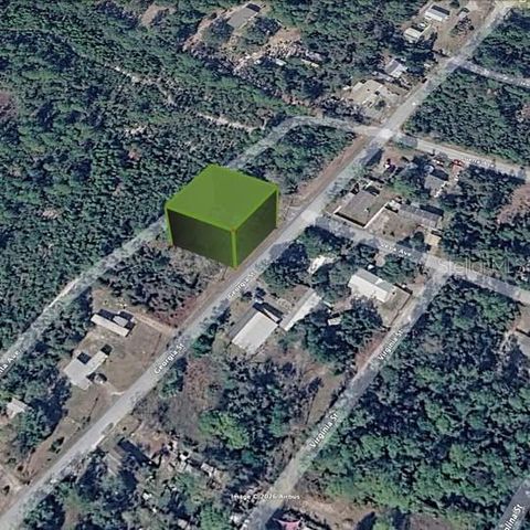 Tiny photo for 15 Georgia Street, Paisley, FL 32767 (MLS # A4688192)