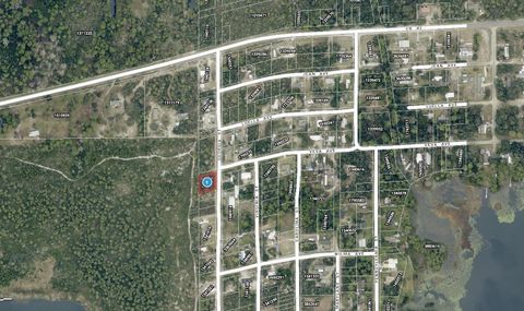 Tiny photo for 15 Georgia Street, Paisley, FL 32767 (MLS # A4688192)