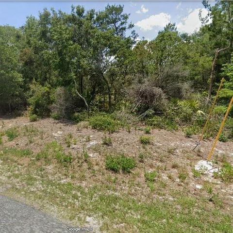 Tiny photo for 15 Georgia Street, Paisley, FL 32767 (MLS # A4688192)
