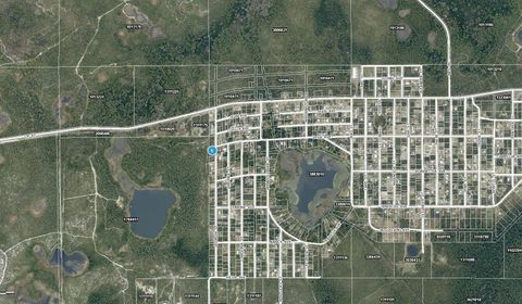 Tiny photo for 15 Georgia Street, Paisley, FL 32767 (MLS # A4688192)