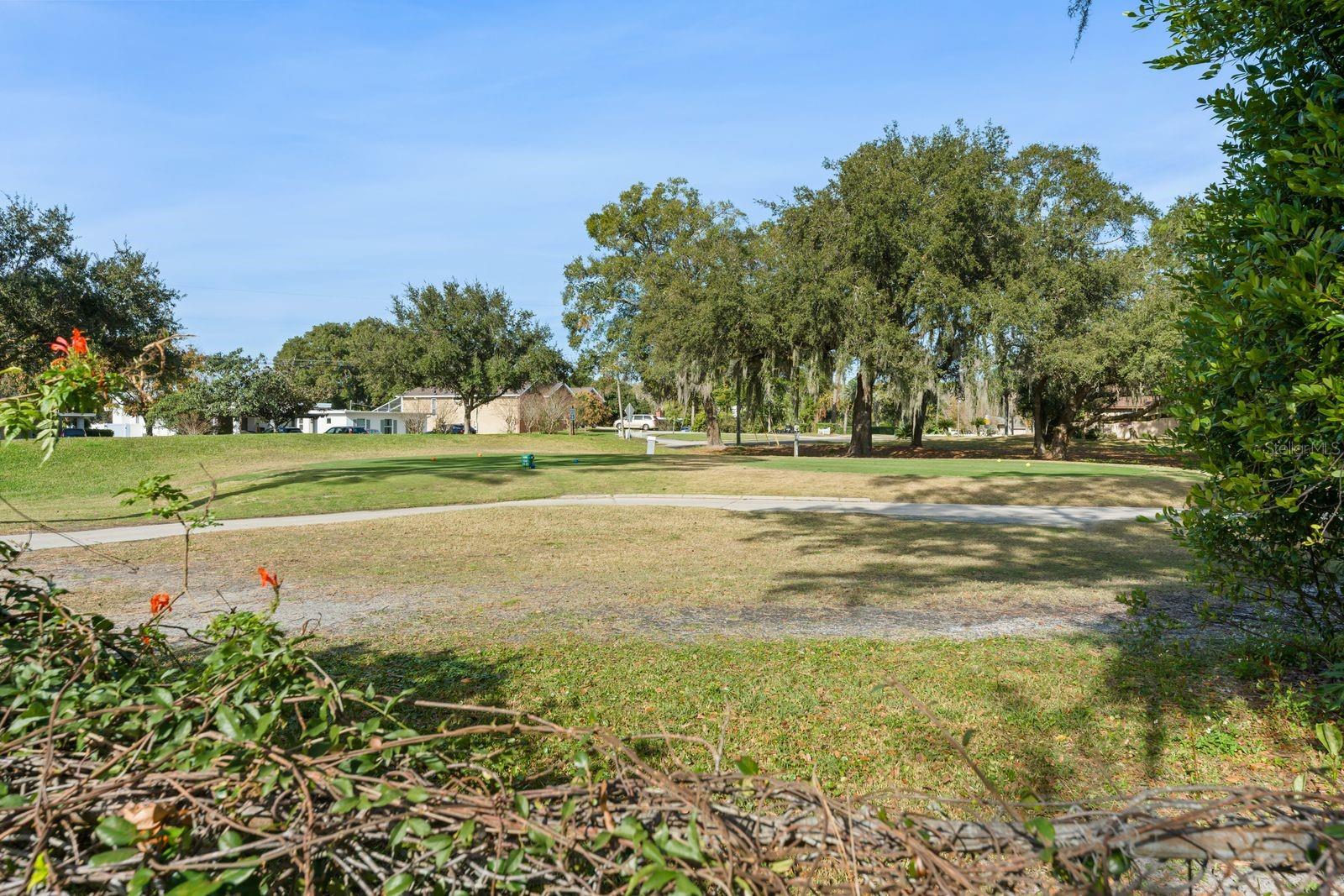 LAND-O LAKES COUNTRY CLUB - Residential