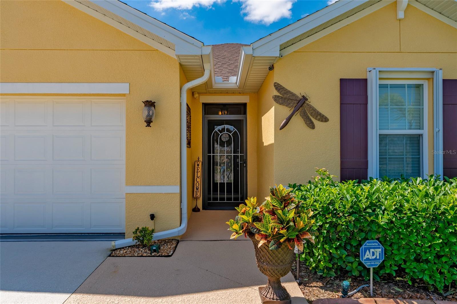 7501 MIKASA DRIVE